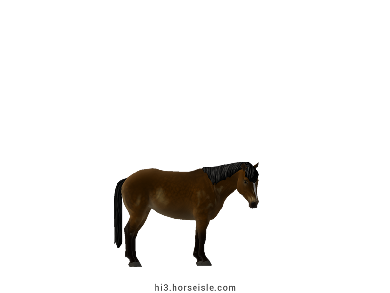 Carneddau Pony Shaded Linebacked Brown Coat